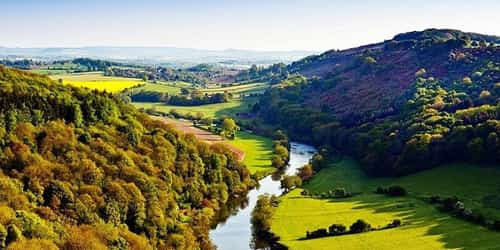 Forest of Dean Escape for 2 with cream tea - LESS THAN 1/2 PRICE!