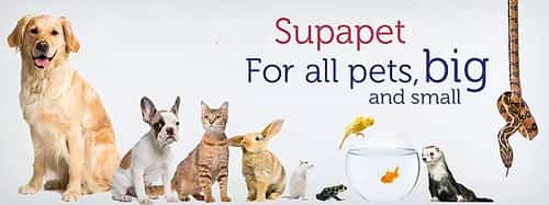 Animal Boarding Service - we are able to offer accommodation for reptiles, birds and small animals!