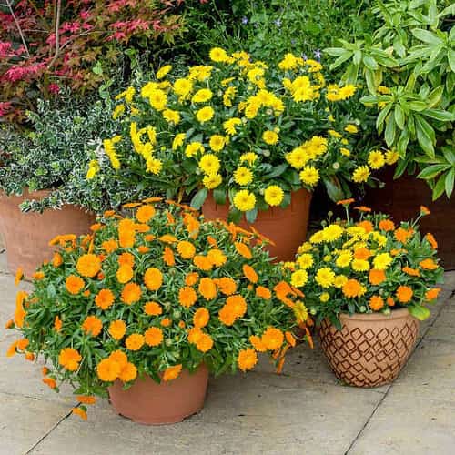 We're building on our ethos with a new range of key products at down to earth prices!