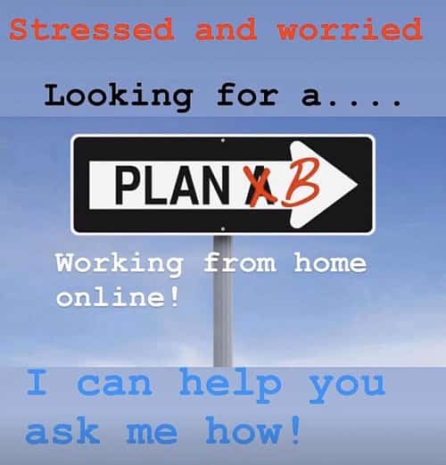 Plan B Income Training Course just when you really need one.