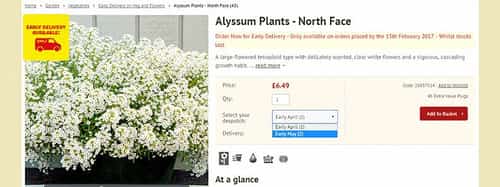 Early Delivery on Veg and Flowers...