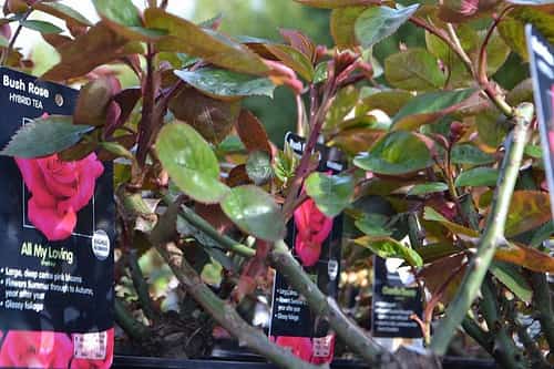 We carry a wide range of products to suit a variety of budgets and tastes.