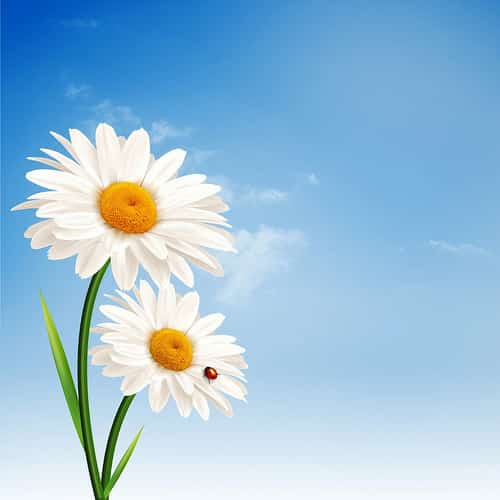 10 % off 12 week life coaching program