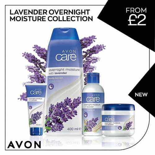 Lavender overnight moisture collection