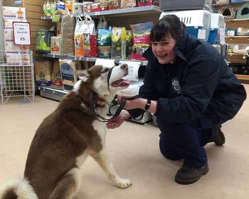 Curry Night in aid of RSPCA Leicester