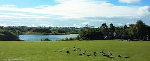 Carsington Water Wonderful Plant Fairs