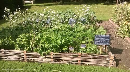 Donington Le Heath 1620's House and Garden