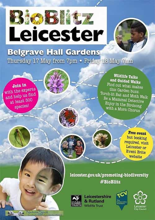 BioBlitz Leicester
