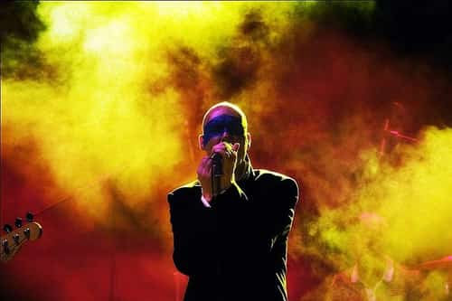Stipe (REM Tribute)