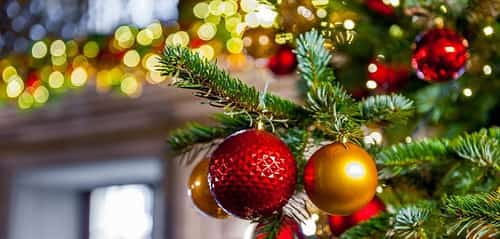 We're decking the halls
