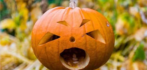 Half-term Halloween hoot