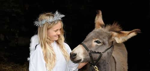 Christmas Nativity