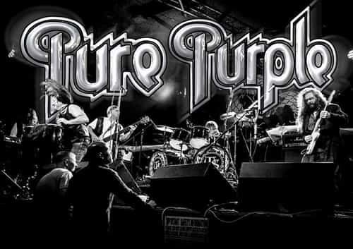 Pure Purple