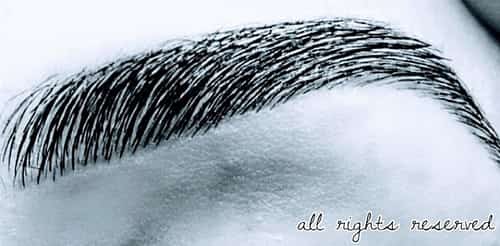 Definition Brow