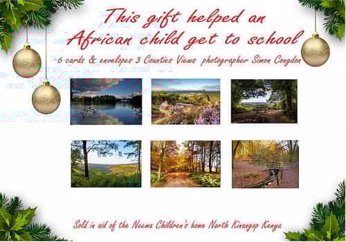 Special deal on framed prints canvasses and greetings cards Photos of beautiful British Wildlife