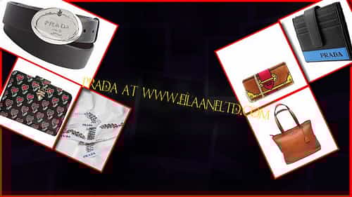 EILAANE LTD