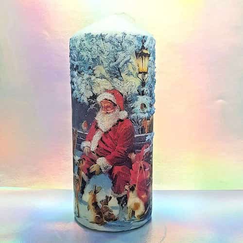 Santa In The Forest