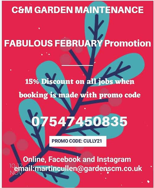 Fabulous February