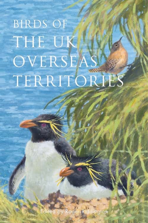 Birdwatching Trend 2021 - Birds of the UK Overseas Territories