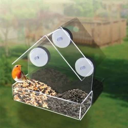 3 Windows Bird Feeder Free Postage