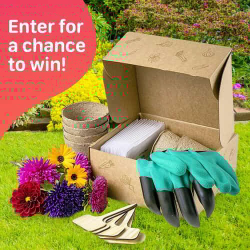 WIN a Flower Seed Growing Kit