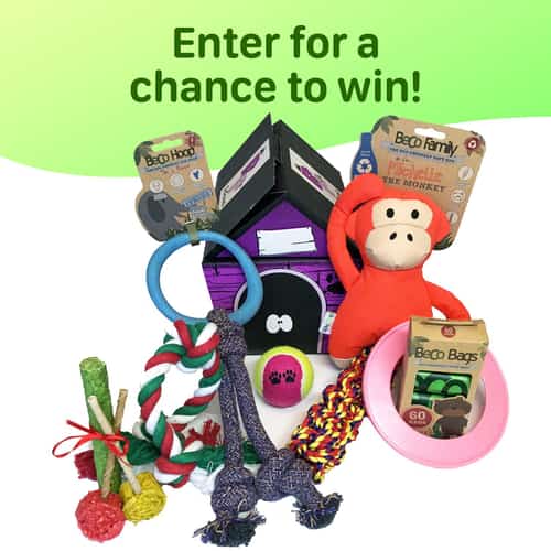 WIN the Ultimate Dog Hamper full of delightful toys