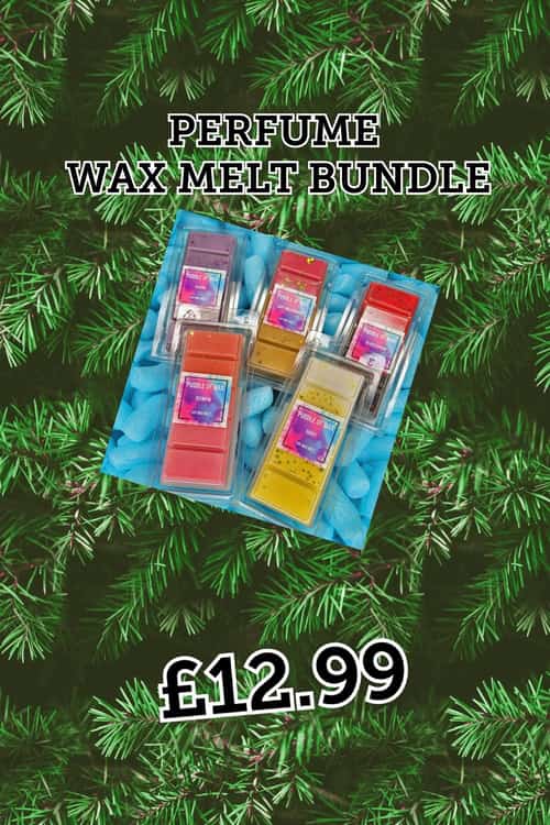 PERFUME WAX MELT BUNDLE