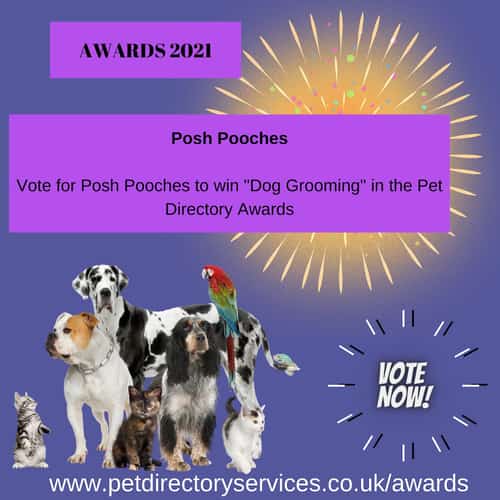 Pet Directory Awards