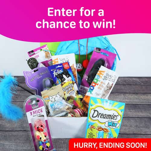 WIN this Luxury Cat Gift Box Hamper