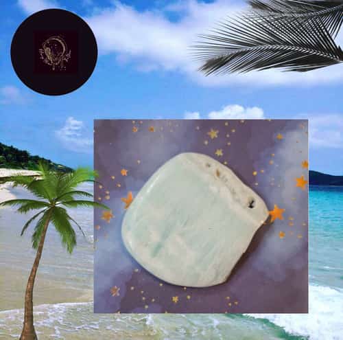 Caribbean Calcite Palmstone
