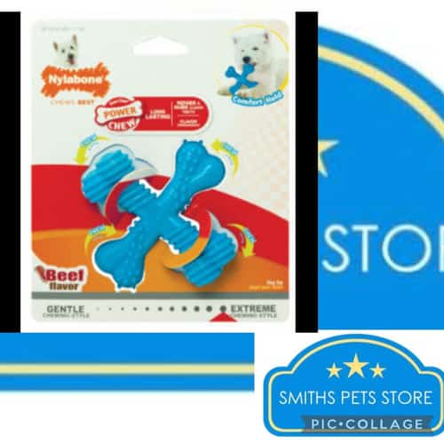 Nylabone puppy teething chew textured crossbone-x-small