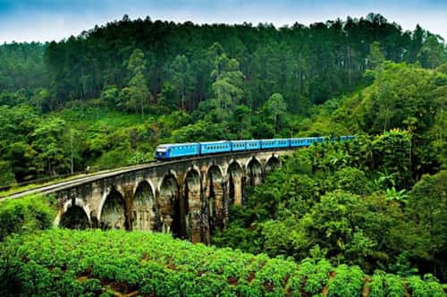 Sri Lanka Honeymoon Package 7 days