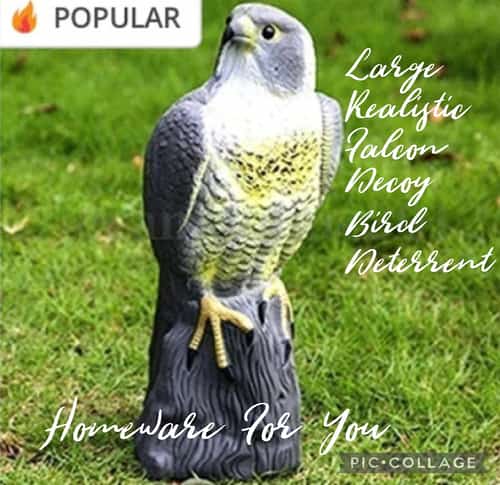 Large Realistic Falcon Decoy Bird Deterrent Full Bodied Bird Of Prey.