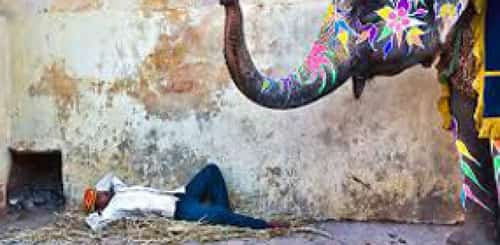 Essence Of India (Delhi – Udaipur – Jodhpur – Jaipur – Agra) 9 days