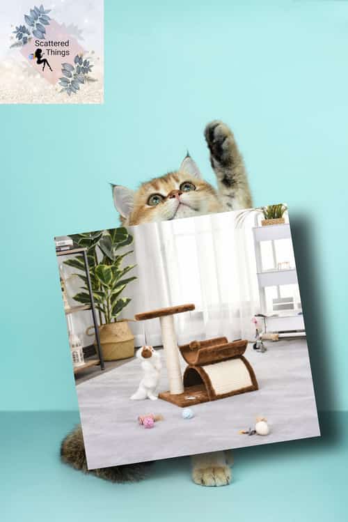 Paw hut cat tree plush scratcher activity play centre rotatable £28.98