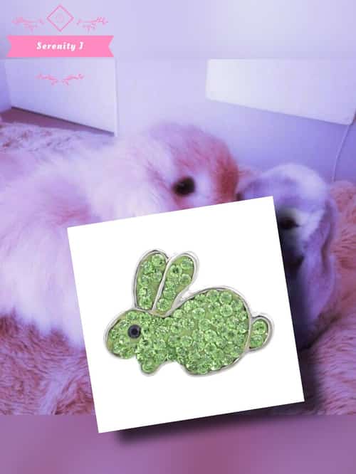 Green Rabbit Snap Charm £5.95