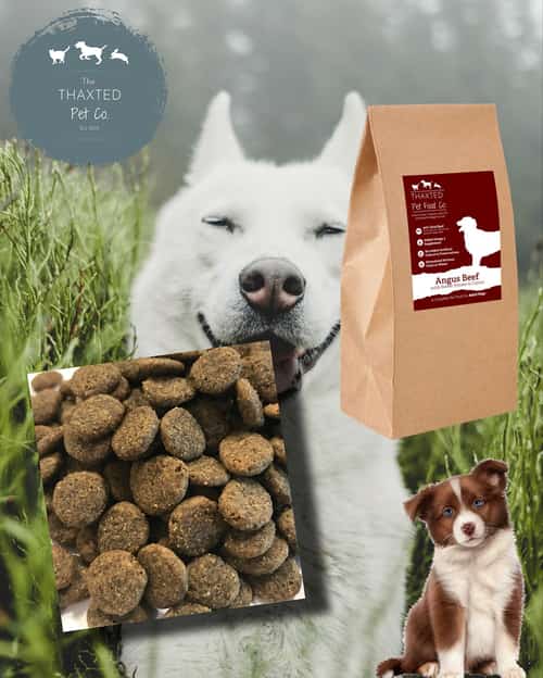 Grain Free Angus Beef with Sweet Potato and Carrot From £32.49