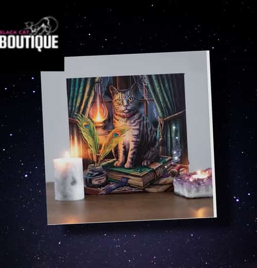 Book of Shadows Light Up Canvas Plaque by Lisa Parker £16.99
