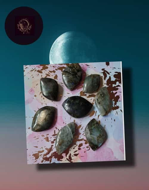 Labradorite Leaves Store/Carved Crystal Shapes £2.22 In stock: 6 available