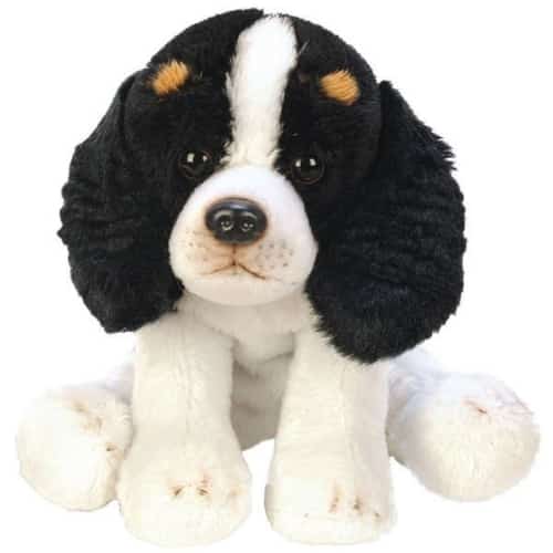 Sitting King Charles Spaniel Dog