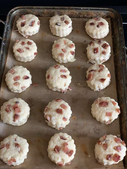 Fresh baked dog scones of various flavours
