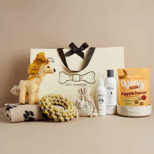 WIN this Luxury Dog Hamper