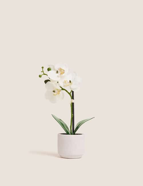 30% off Artificial plants