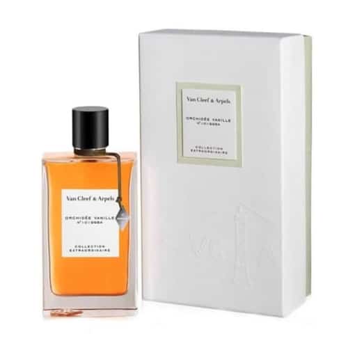 50% Discount on Fragrance