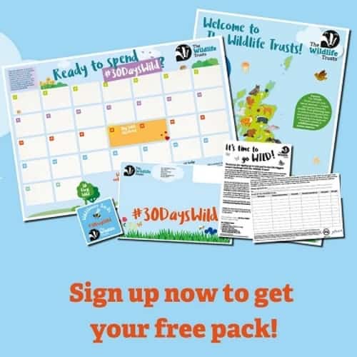 FREE 30 DAYS WILD PACK - FREE WILDFLOWER SEEDS