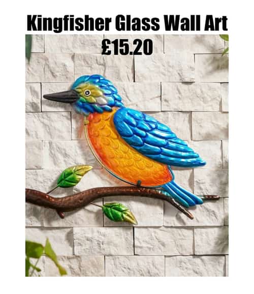 Kingfisher Glass Wall Art Β£15.20