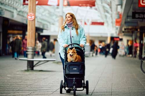 NEW for 2023! 10% off the InnoPet Premium Cozy Dog Pram
