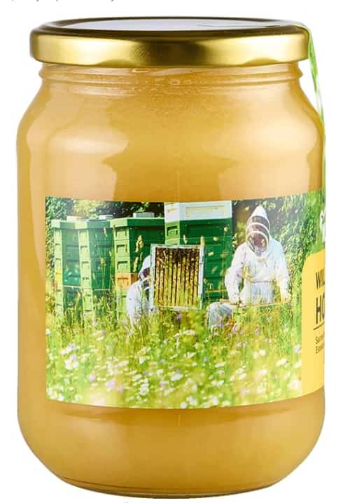 Honey Bee - Nature's Busy Pollinators