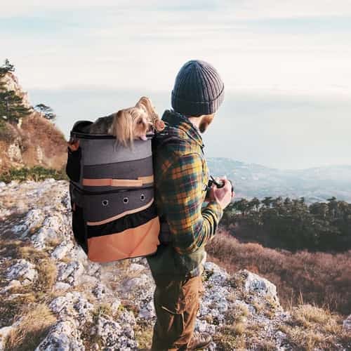 5% OFF any Pet Carrier