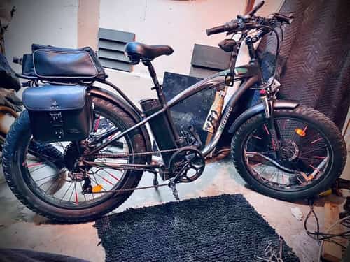 Ecotric Bike Fat Tyres (Electric Bike) Hammer (FREE SHIPPING)